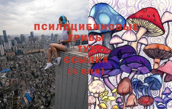 прущий лед Михайловск