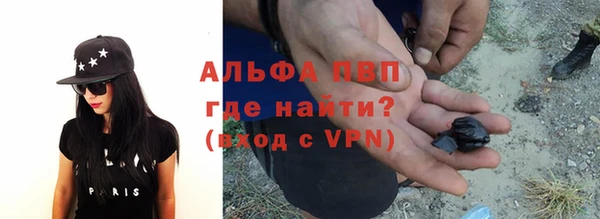 молекула духа Михайлов