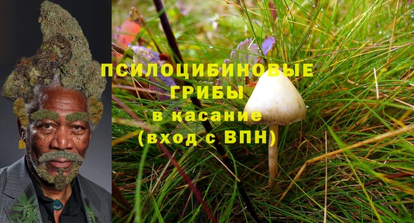 прущий лед Михайловск