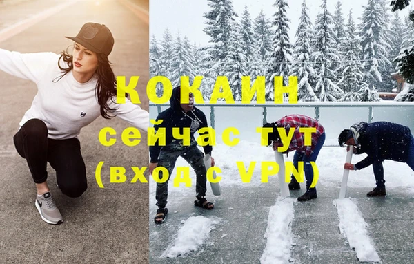 молекула духа Михайлов